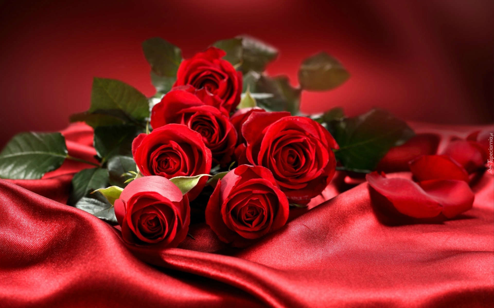 bukiet czerwonych roz
