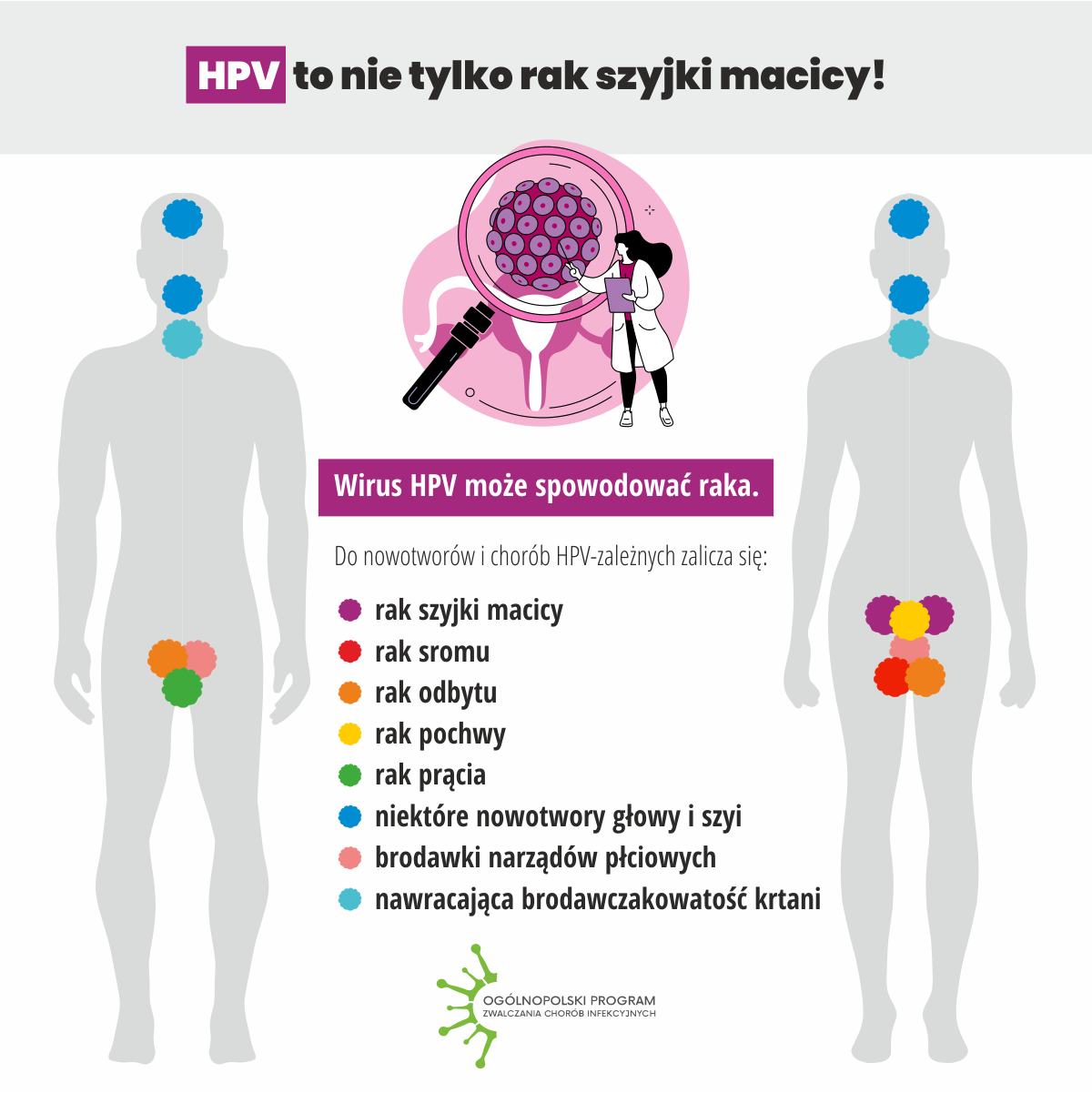 Szczepienia przeciw HPV infograph 2
