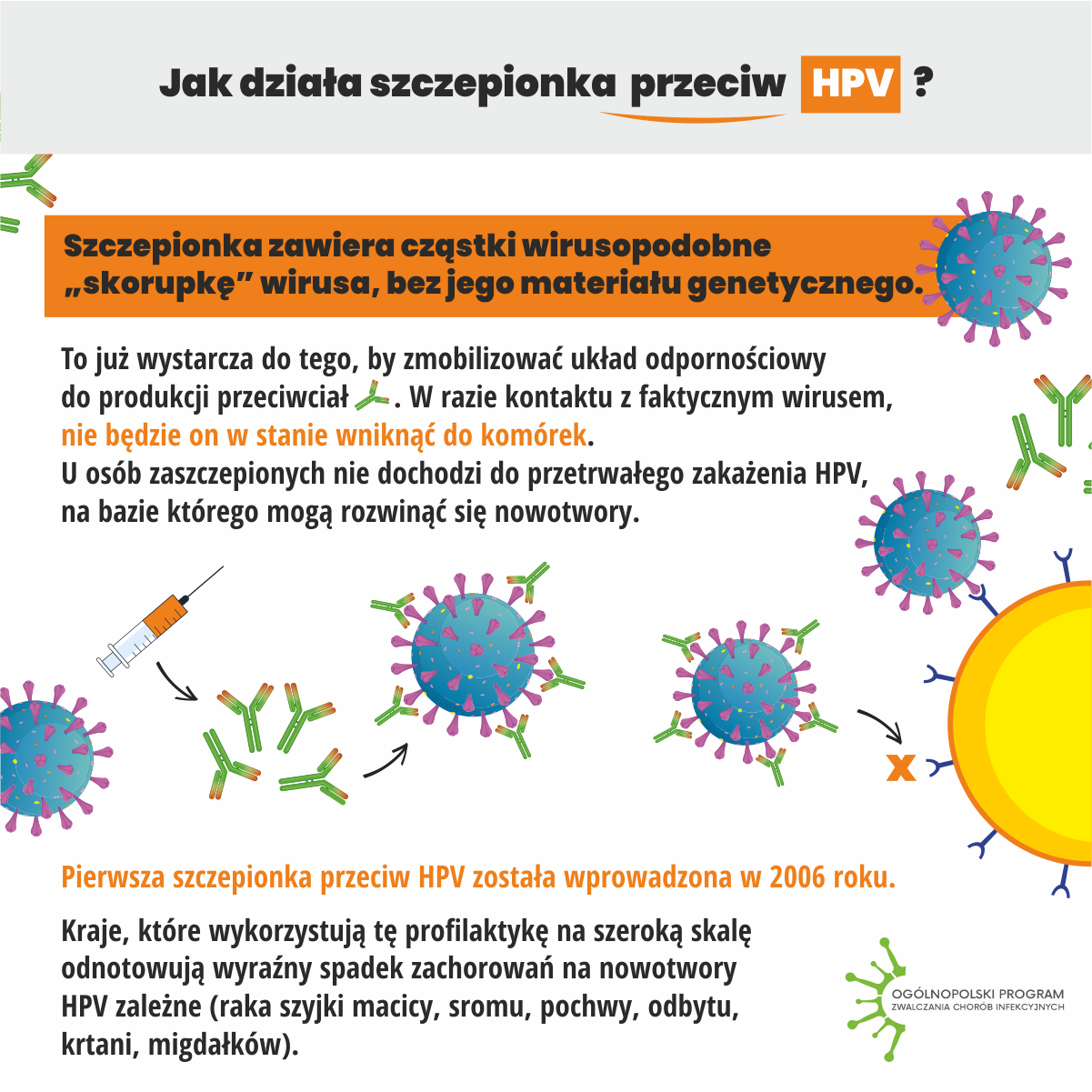 Szczepienia przeciw HPV infograph 6
